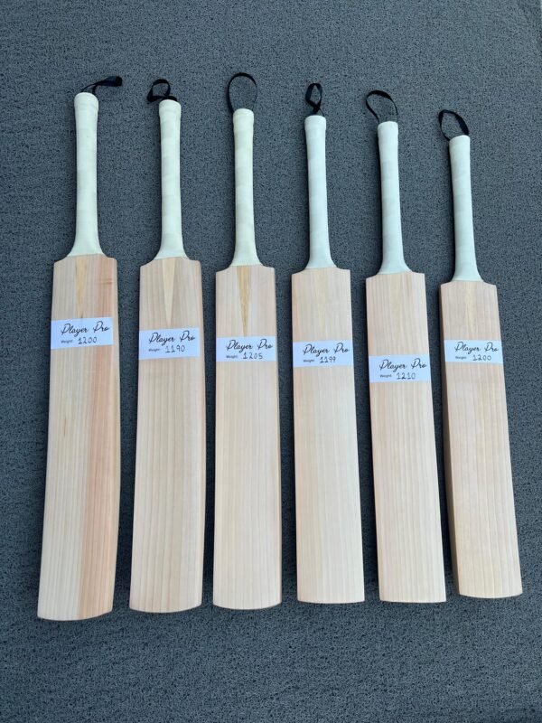 Cricket Bats