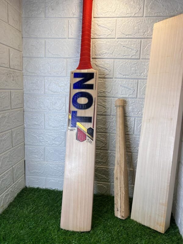 SS Ton Reserve Edition Grade 1 Cricket Bat